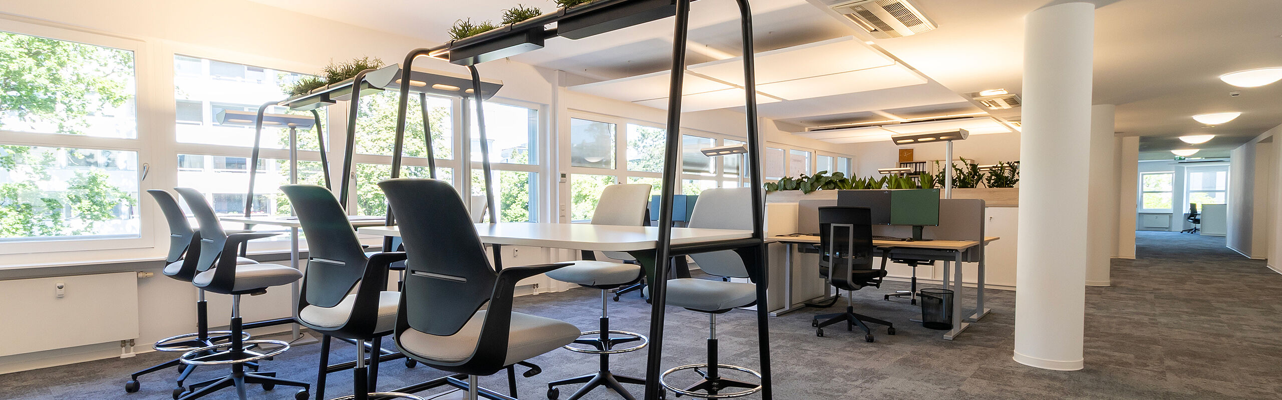 Moderne Bürofläche von KBR mit offenen Arbeitsplätzen, flexiblen Stehsitzbereichen, Begrünung und viel Tageslicht.