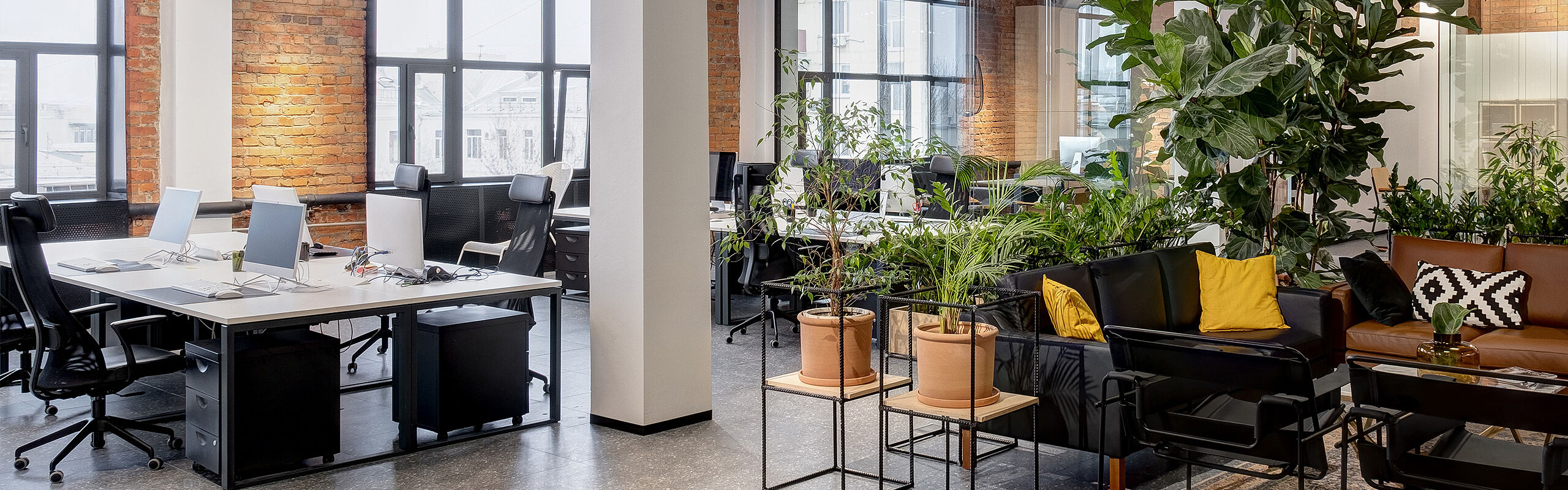 Modernes Büro mit Pflanzen