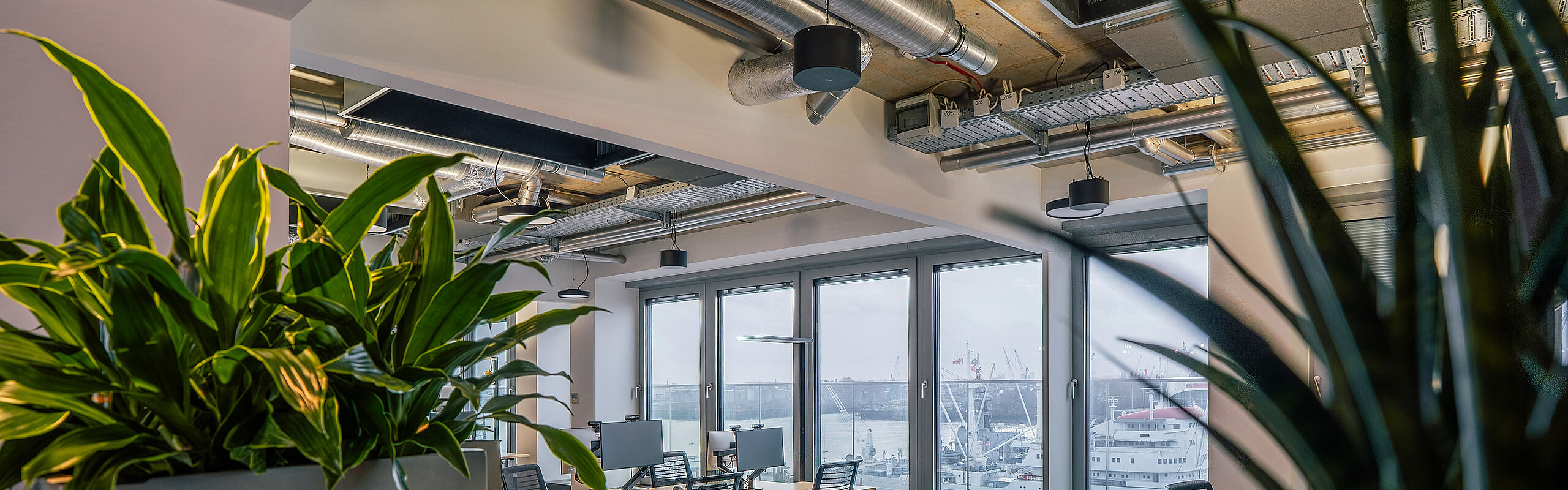 Moderner Büroarbeitsbereich mit Schreibtischen, großen Fenstern mit Hafenblick und integrierten Pflanzen in einer offenen Arbeitsumgebung.