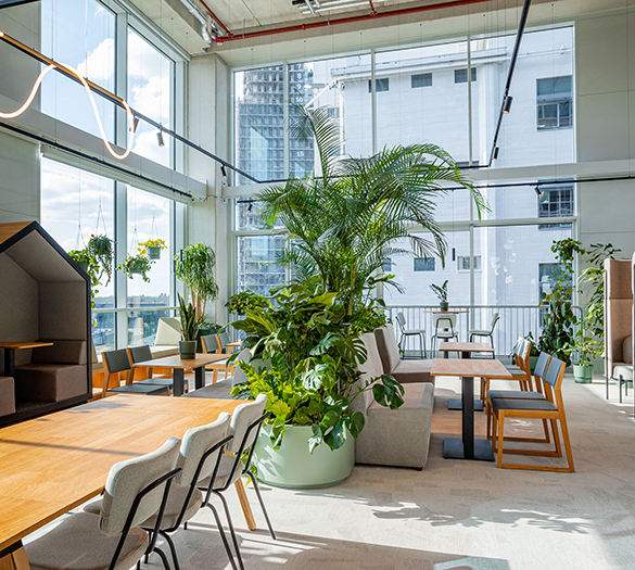 Helle Innenfläche mit Verglasung, Pflanzen und Sitzbereichen – nachhaltige Bürogestaltung mit hoher Aufenthaltsqualität.