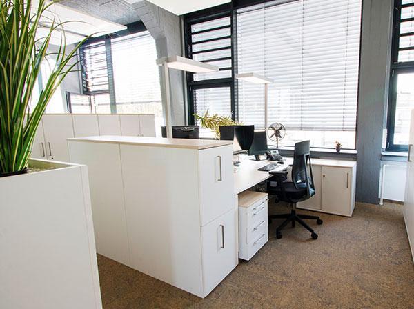 Deckenleuchte im Gruppenbüro Beleuchtung am Arbeitsplatz