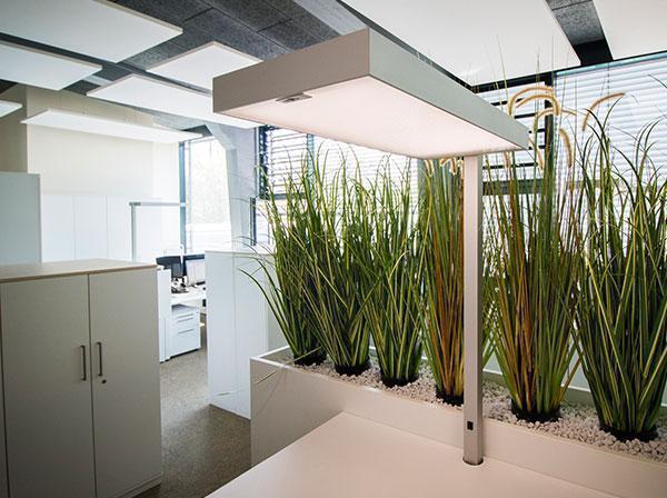 Stehleuchte und Raumpflanzen im Büro Bürobeleuchtung und Raumdekoration