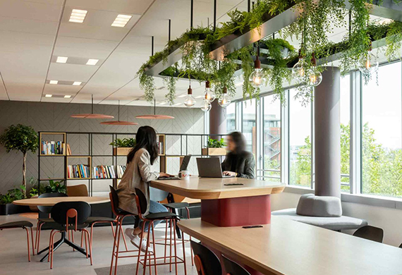 Moderner Bürobereich mit großer Fensterfront und viel Tageslicht. Zwei Personen sitzen an einem hohen Holztisch und arbeiten gemeinsam an einem Laptop. Über dem Tisch hängen Pflanzen und Leuchten von einer abgehängten Konstruktion. Im Hintergrund befinden sich Regale mit Büchern sowie weitere Sitzmöglichkeiten in einer offen gestalteten, wohnlichen Arbeitsumgebung.
