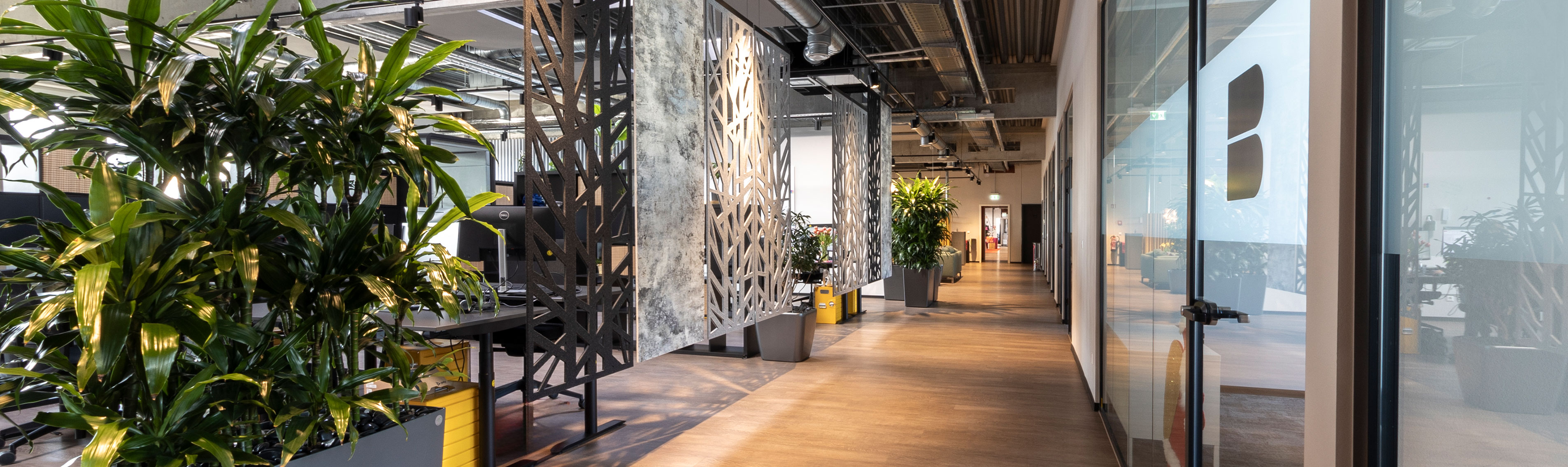 Langer, offener Flur mit Pflanzen und Akustikelementen