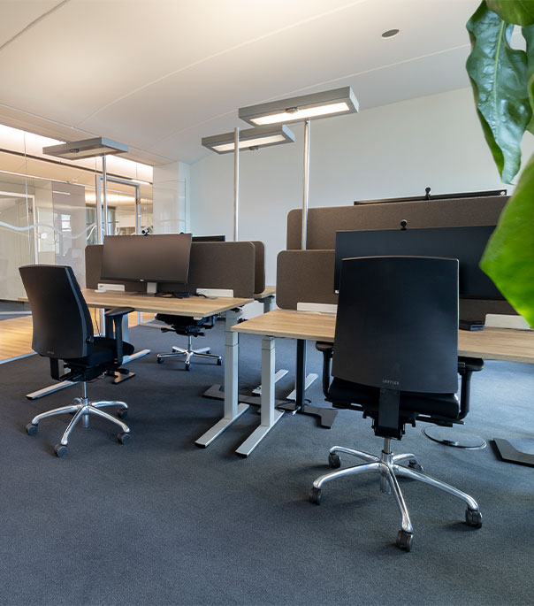 Schlichtes Gruppenbüro mit Glaswand und Pflanze im Vordergrund