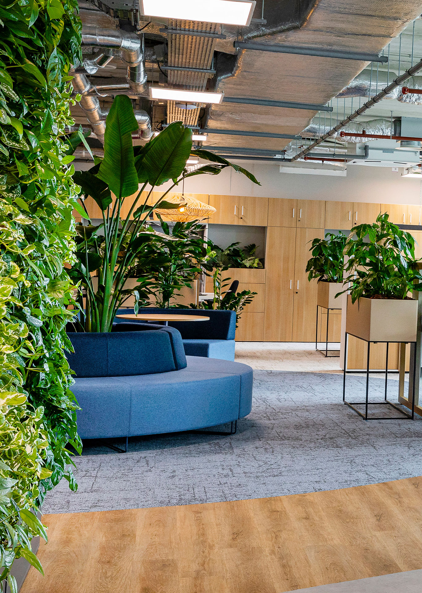 Bürolandschaft mit Holzfarben und vielen Pflanzen, ein blaues Sofa in der Mitte